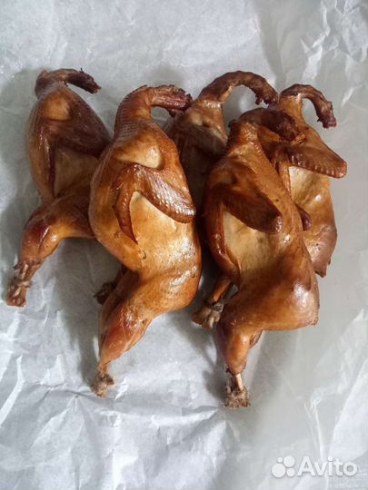 Мясо перепелов