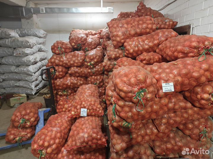 Овощи, ассортимент продовольственного картофеля