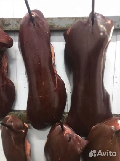 Мясо, субпродукты для собак и кошек