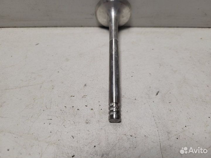 Клапан двигателя Выпускной(4шт) Volkswagen Golf