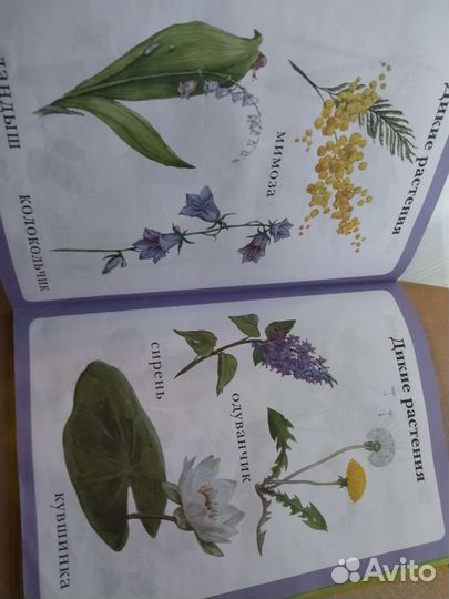 Книги для малышей