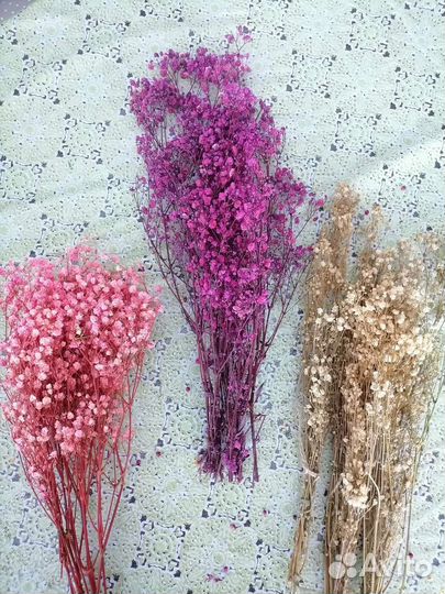 Сухоцветы для творчества