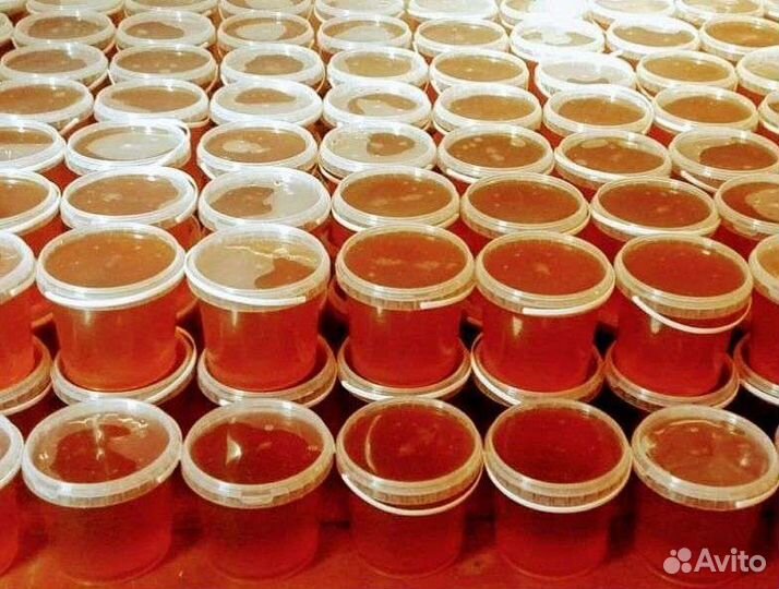 Мёд с наших пасек 2023 года