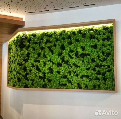 Мох стабилизированный ягель фитостена фитокартина