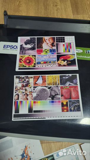 Принтер струйный цветной Epson