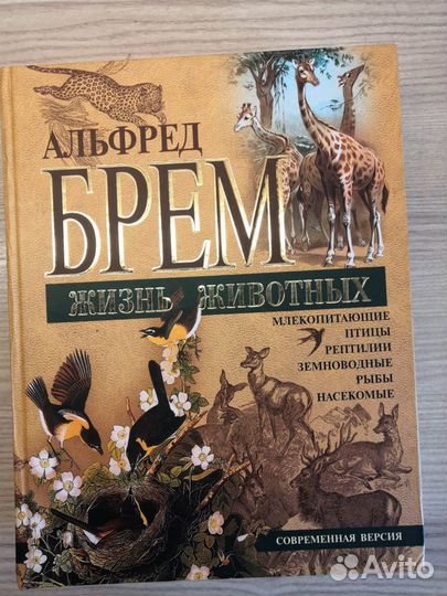 Энциклопедии разные