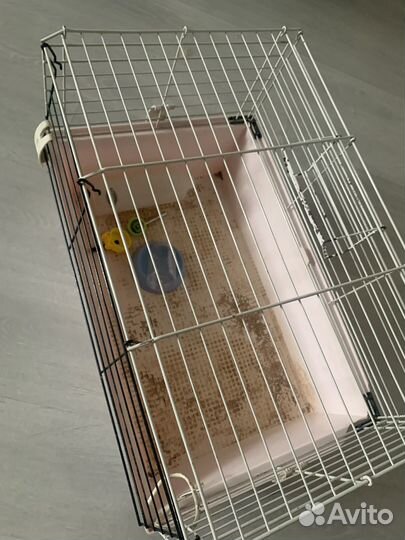 Клетка для морской свинки