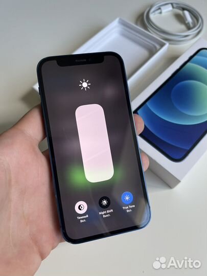 iPhone 12 mini 256gb blue