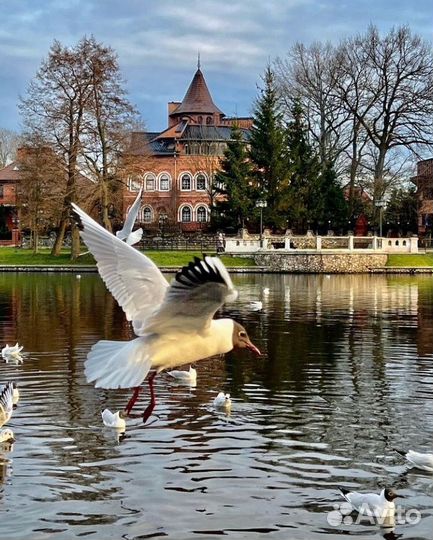 Туры экскурсионные на 6 дней в Калининград