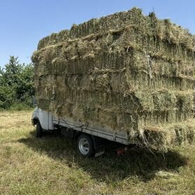 Сено в тюках с доставкой и на месте