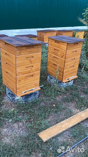 Улей для пчел