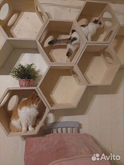 Настенная полка(домик) для кошки