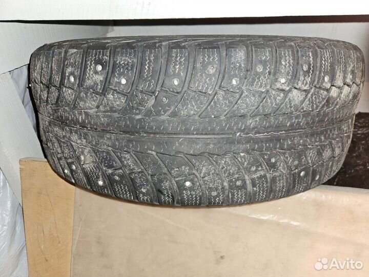 Gislaved Nord Frost 5 205/55 R16