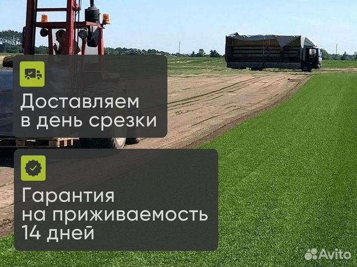 Газон в рулонах в наличии с быстрой доставкой