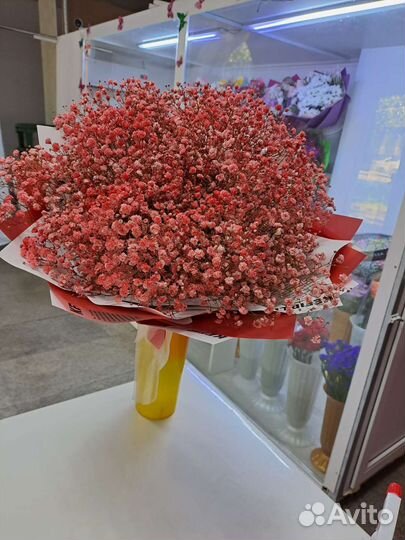 Букеты, композиции из гипсофилы. С доставкой