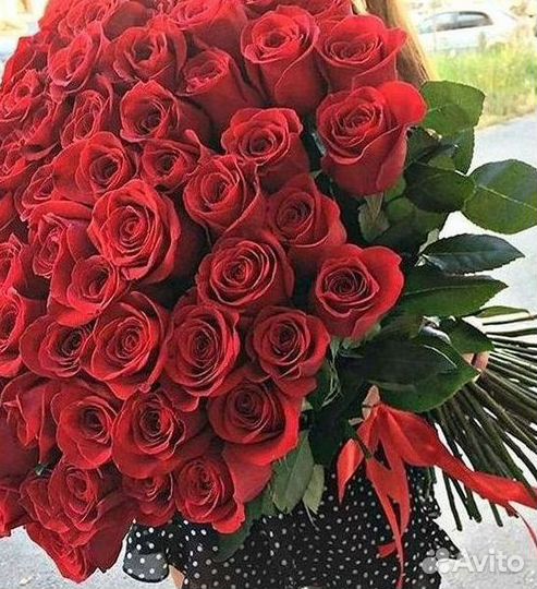 Букет роз 101 роза 51 роза