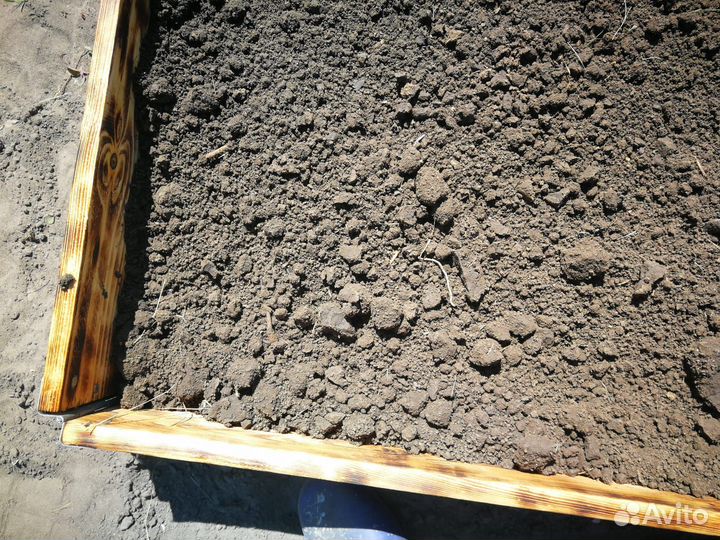 Земля,Чернозем верхний срез,Перегной сыпучий,камаз