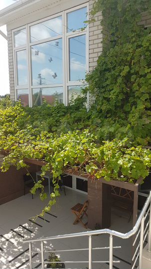 Комната 20 м², 1/2 эт.