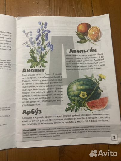 Экологическая азбука растения для детей