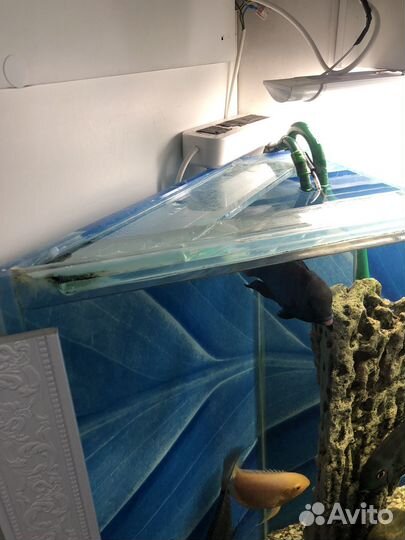 Аквариум с рыбками