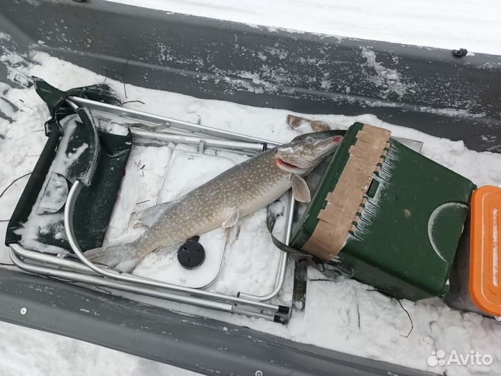 Рыбалка на севере