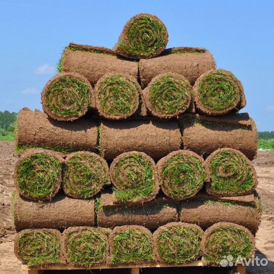 Теневой рулонный газон, доставка газона