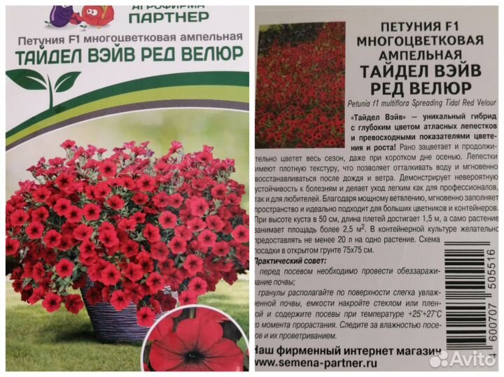 Рассада петунии Тайдал