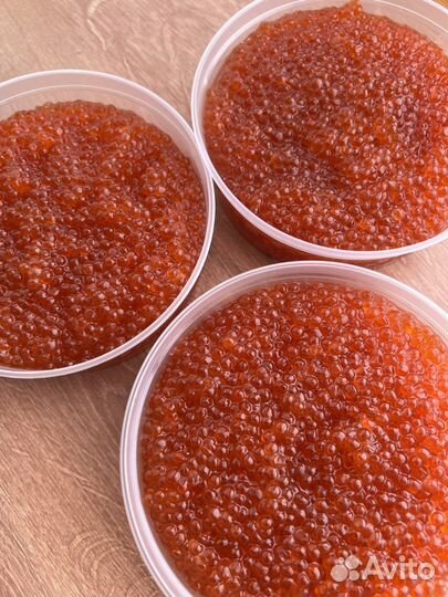 Красная икра 2023