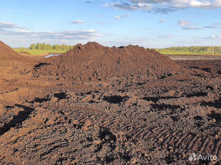 Торф низинный