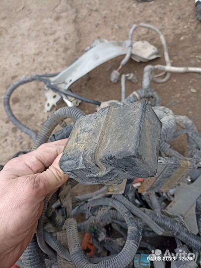 Проводка подкапотная Nissan Tiida 1.6 (hr16de)