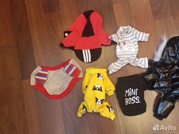 Костюм для собаки