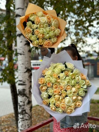 25 роз 51 роза
