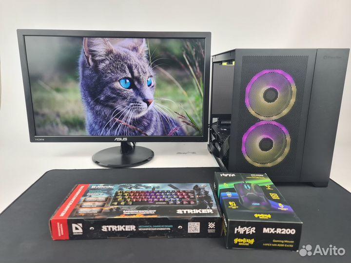 Полный комплект R5 5600 / Asus RX 6600XT