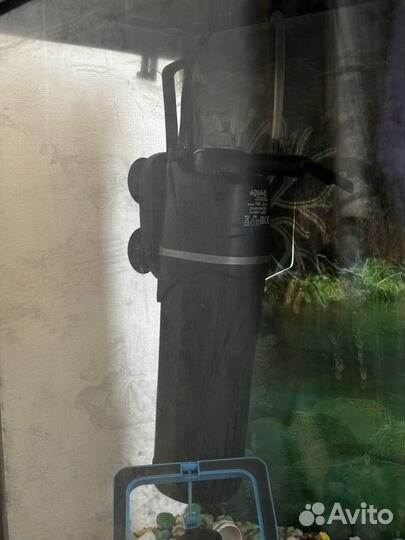 Аквариум