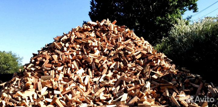 Дрова в СПБ
