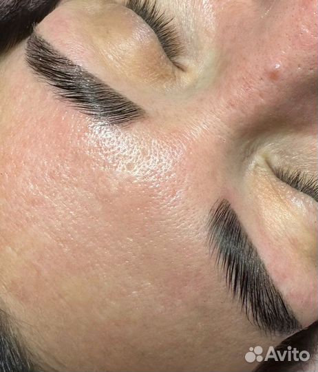 Мастер бровист