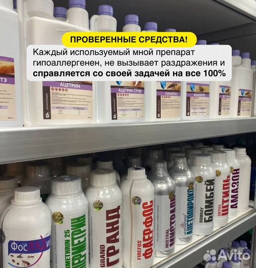 Уничтожение клопов. Уничтожение тараканов, плесени