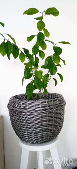 Кашпо напольное уличное из искусственного ротанга