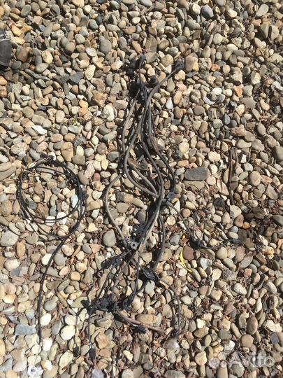 Датчик абс передний vitz platz 2002