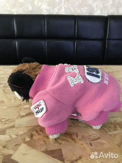 Одежда для собак