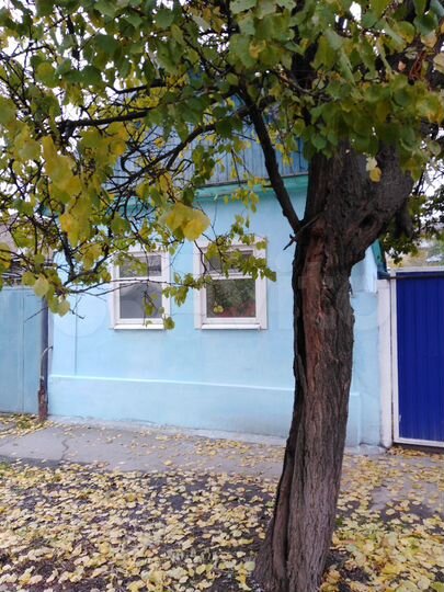 Дом 96 м² на участке 4,4 сот.