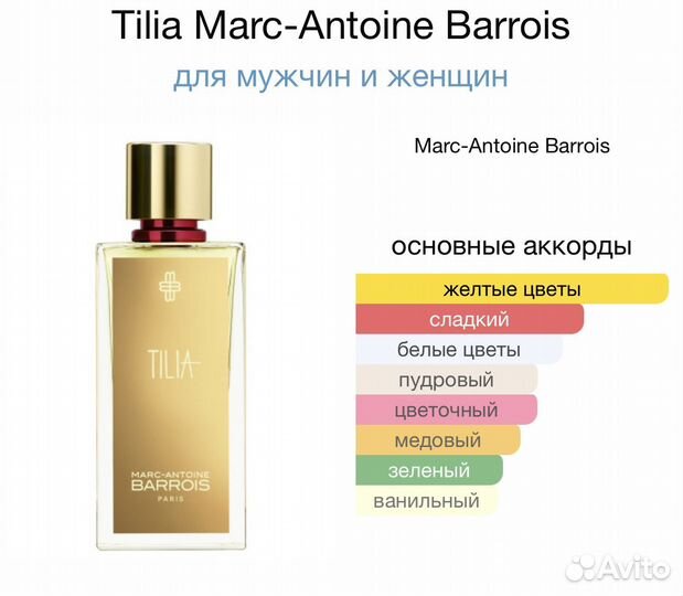 Tilia marc antoine barrois 100