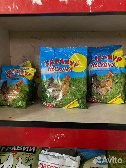 Здравур Несушка для кур-несушек и др