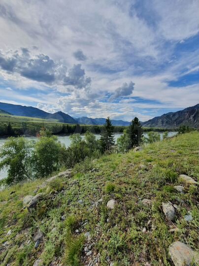 Участок 80 сот. (СНТ, ДНП)