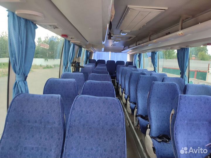 Заказ автобусов, аренда автобуса, автобус на заказ