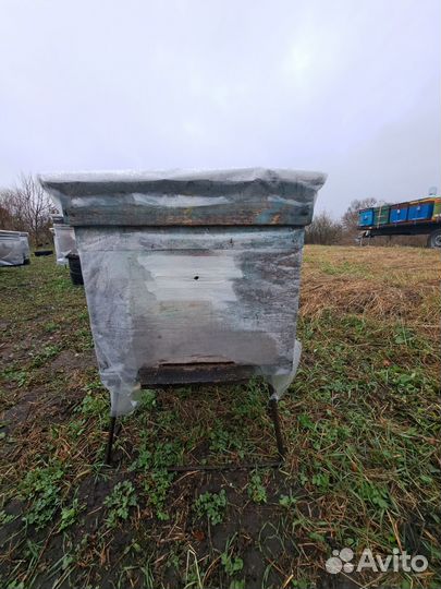 Пустой улей