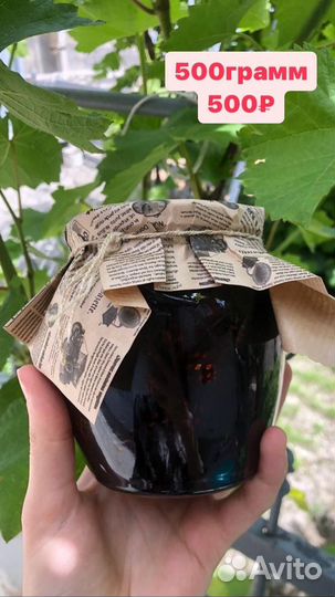 Варенье из сосновых шишек