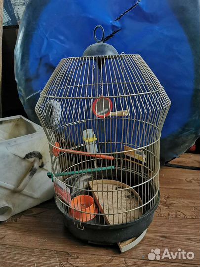 Клетка для грызунов большая