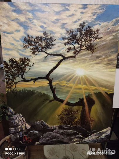 На семи ветрах