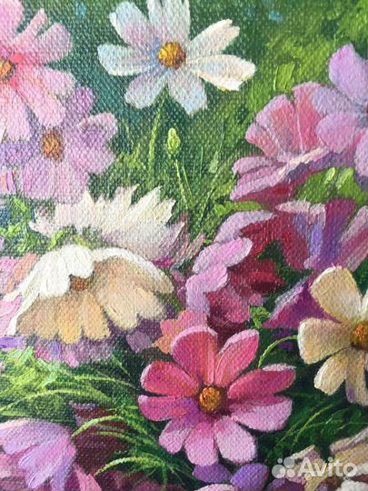 Картина маслом цветы космея